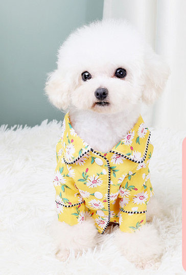 Pijamale pentru câini în mai multe culori