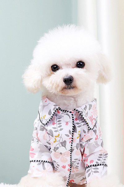 Pijamale pentru câini în mai multe culori