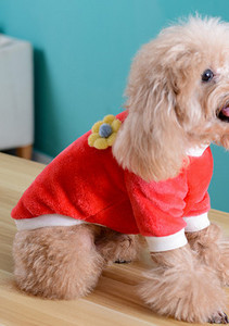 Koertele sobiv sügis-talvine plüüsmantel