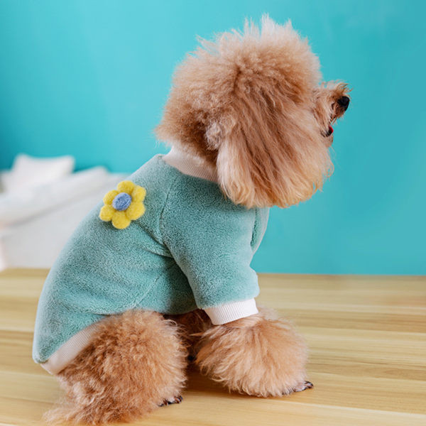 Koertele sobiv sügis-talvine plüüsmantel