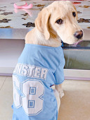 Bluză pentru un câine cu o inscripție - mai multe culori