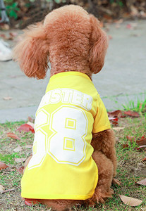 Ρούχα για σκύλους - πολλά μοντέλα