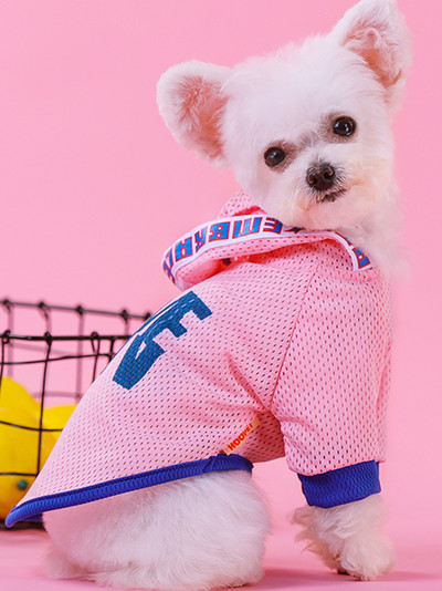 Ρούχα για σκύλους - πολλά μοντέλα