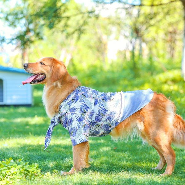 Päikesekaitsega koerariided