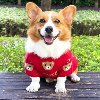 Pulover tricotat pentru caini