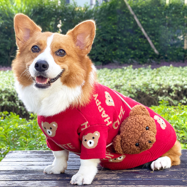 Pulover tricotat pentru caini