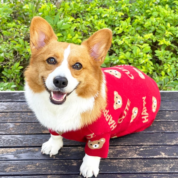 Pulover tricotat pentru caini