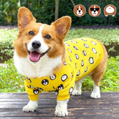 Pulover de iarna pentru caini