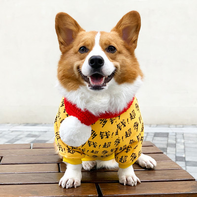 Pulover de iarna pentru caini