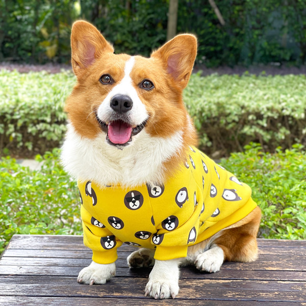 Pulover de iarna pentru caini