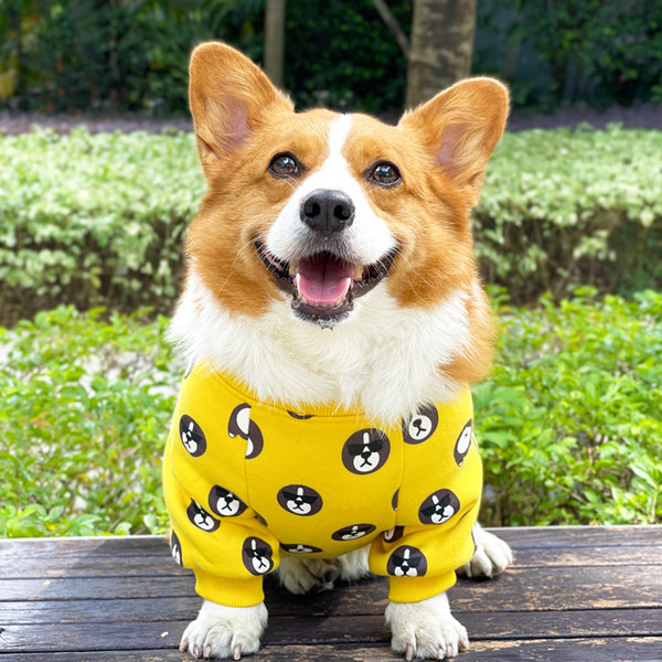 Pulover de iarna pentru caini