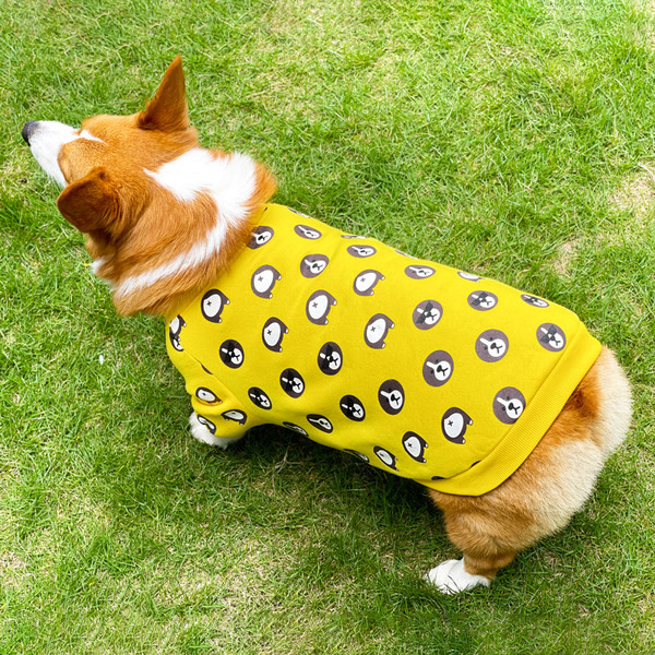 Pulover de iarna pentru caini