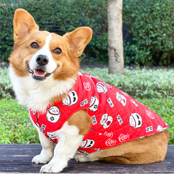 Haina de iarna pentru caini cu aplicatii