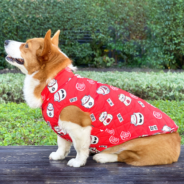 Haina de iarna pentru caini cu aplicatii