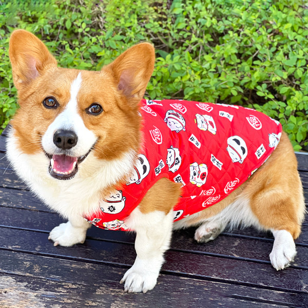 Haina de iarna pentru caini cu aplicatii