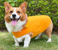 Haina pentru un caine cu autocolant