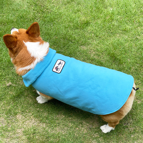 Haina pentru un caine cu autocolant