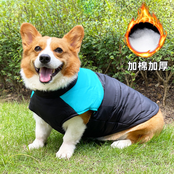 Prsluk za pse u četiri boje