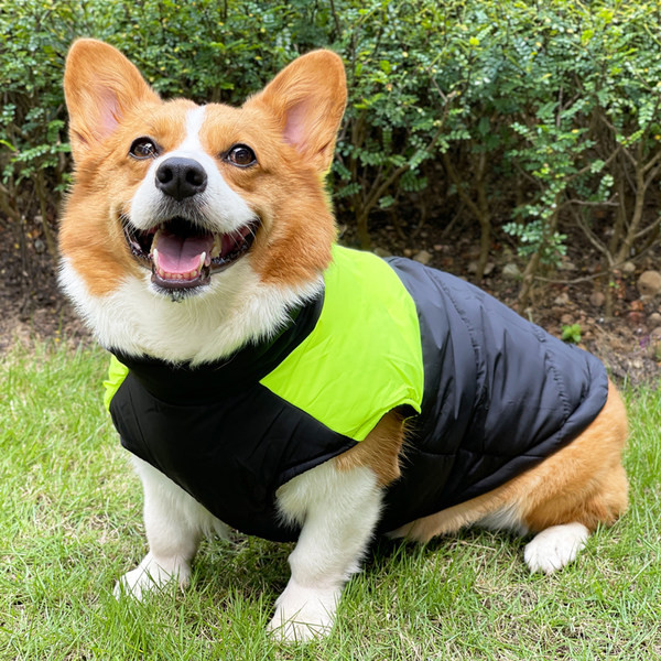 Prsluk za pse u četiri boje