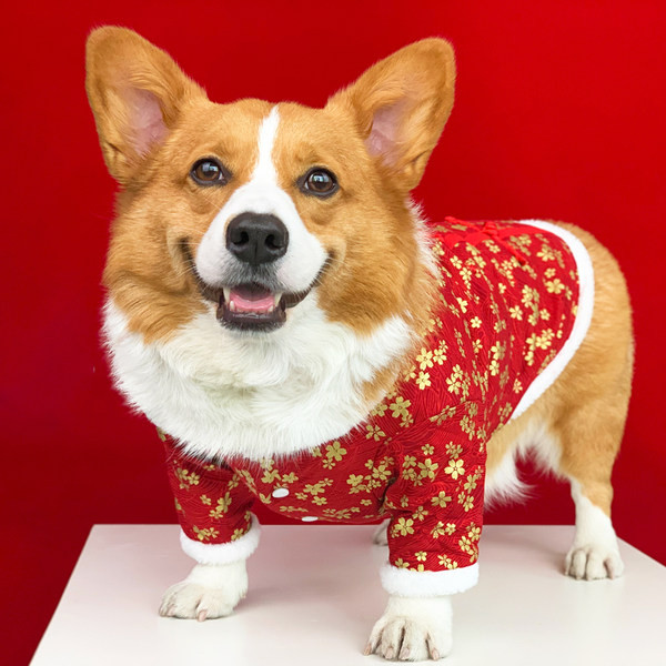 Palton roșu pentru câine cu model floral