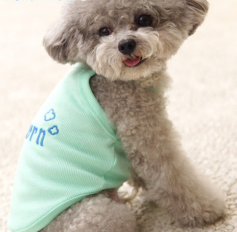 Tikandiga vest koertele