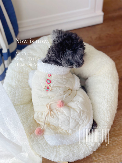 Pehme voodriga sügis-talvised riided koertele