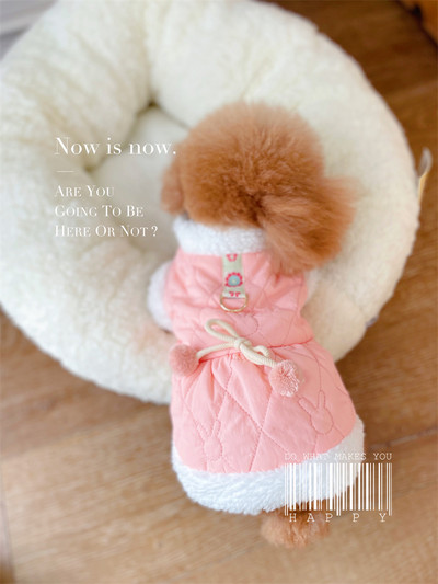 Pehme voodriga sügis-talvised riided koertele