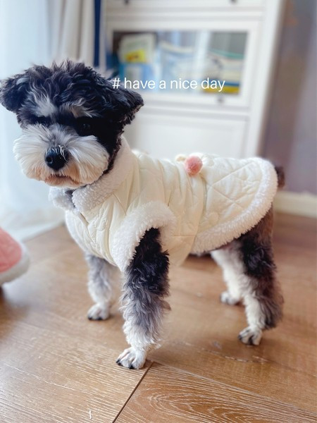 Pehme voodriga sügis-talvised riided koertele