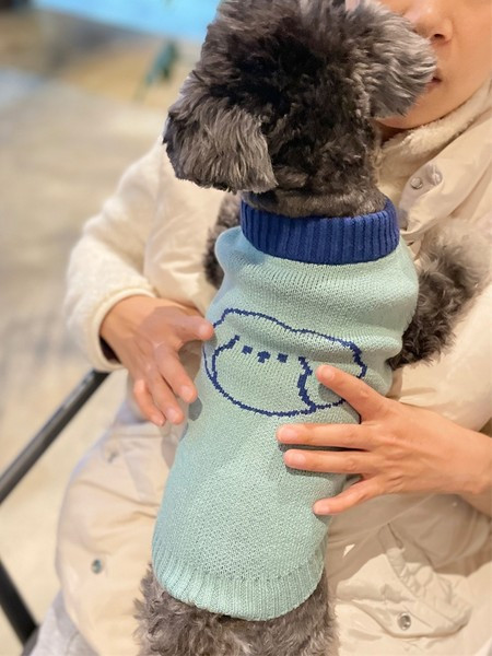 Vesta pentru caini in albastru si roz