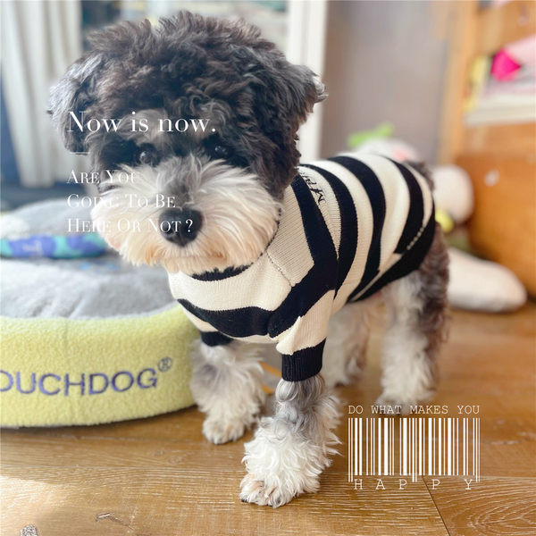 Pulover tricotat cu dungi pentru caini