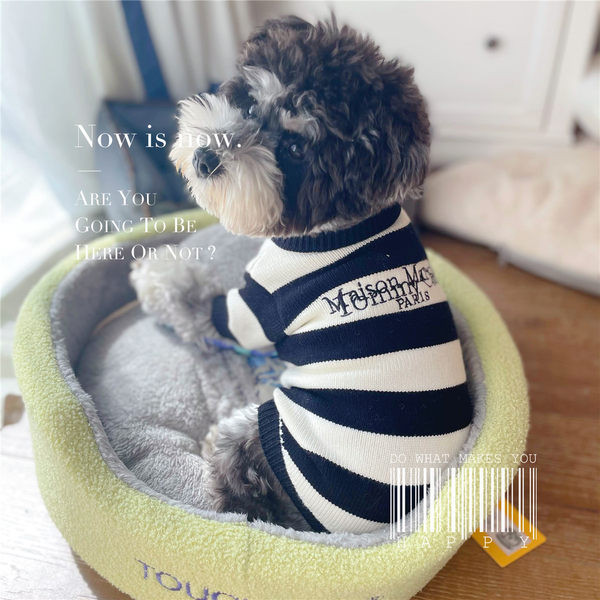 Pulover tricotat cu dungi pentru caini