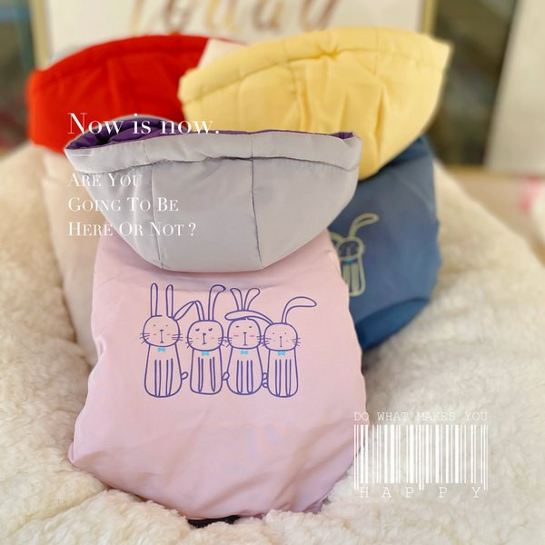 Haina pentru caini cu aplicatie si gluga