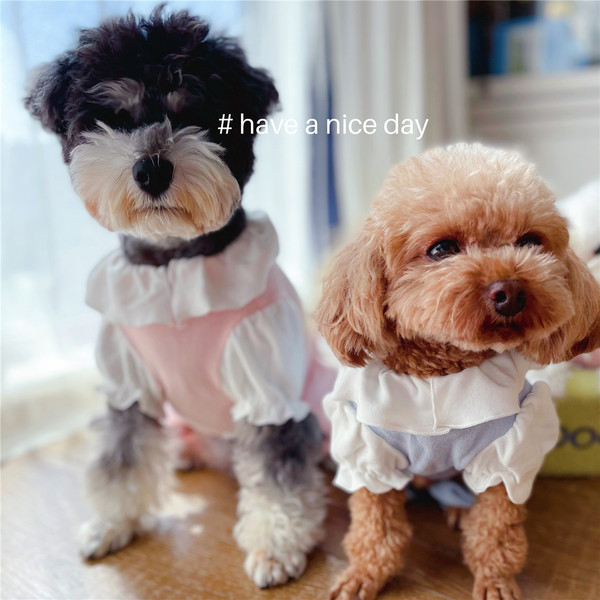 Salopeta pentru caini cu bucle