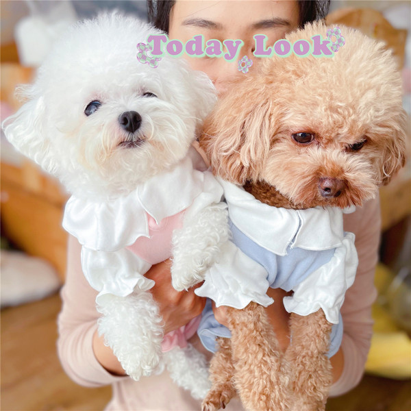 Salopeta pentru caini cu bucle