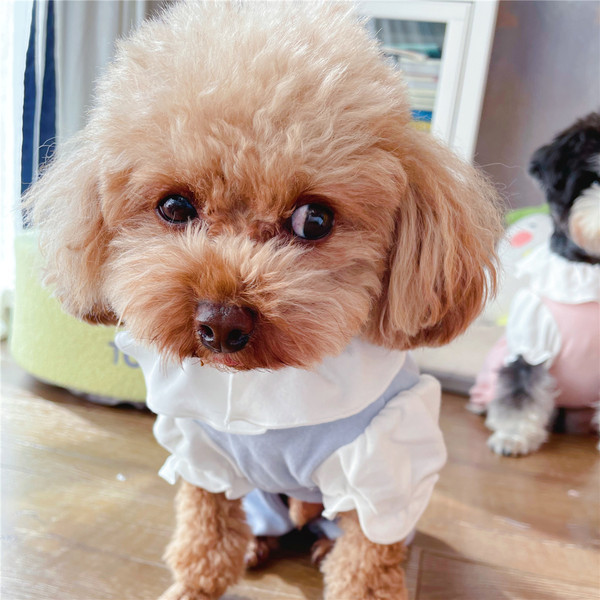 Salopeta pentru caini cu bucle