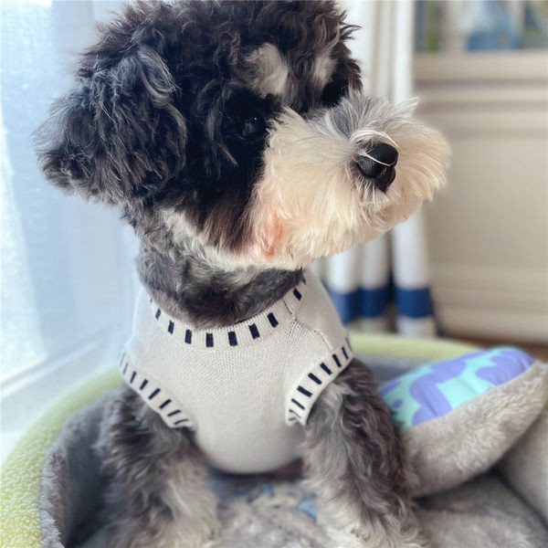 Îmbrăcăminte de iarnă pentru câini - în două culori