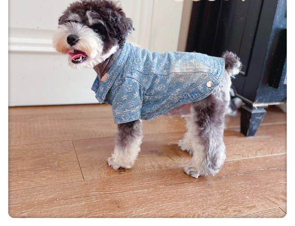 Salopete moderne din denim pentru caini