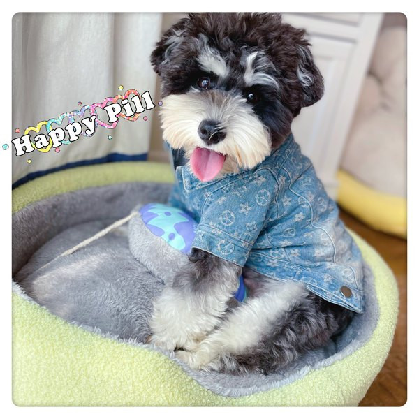 Salopete moderne din denim pentru caini