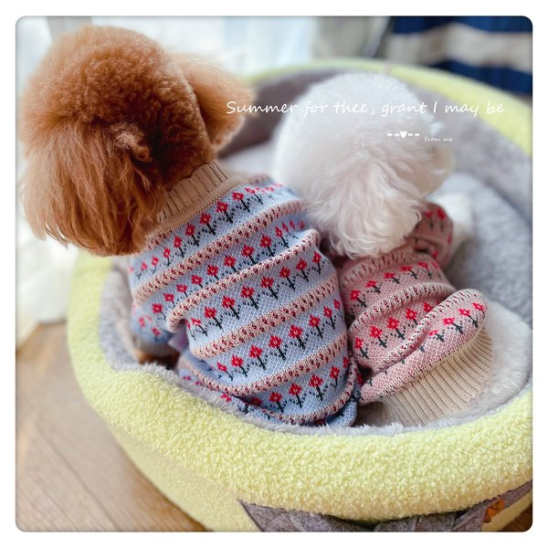 Πλεκτό ρούχο με κουμπιά για σκύλους