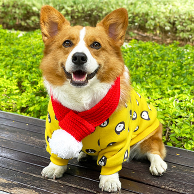 Bluza cu imprimeu pentru caini