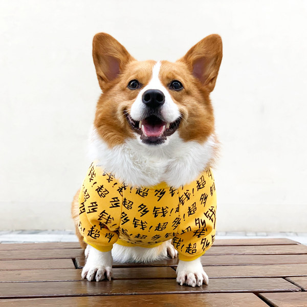 Bluza cu imprimeu pentru caini