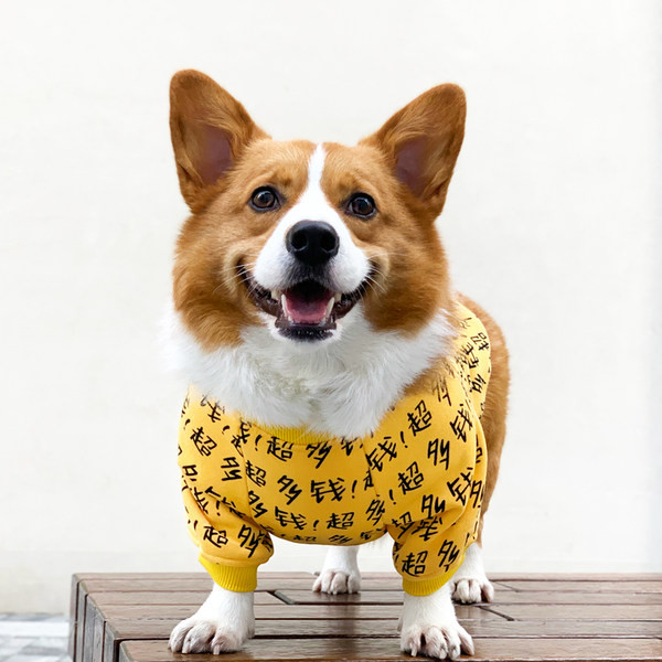 Bluza cu imprimeu pentru caini