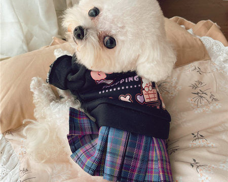 Rochie moderna in carouri pentru caini