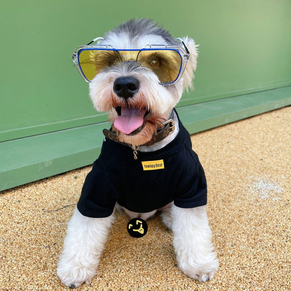 Bluza cu buzunar pentru caini