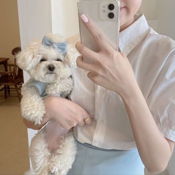 Rochie in doua culori pentru caini