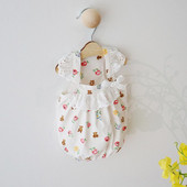 Pitsiga riided ja aplikatsioonid koertele