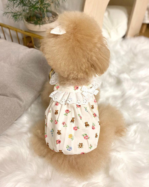 Pitsiga riided ja aplikatsioonid koertele