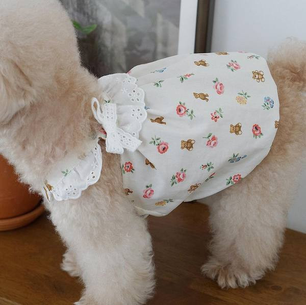 Pitsiga riided ja aplikatsioonid koertele