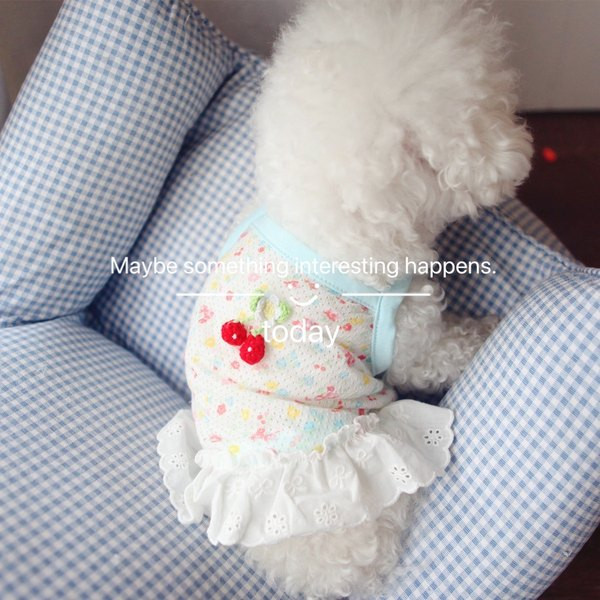 Fusta caine cu dantela in doua culori