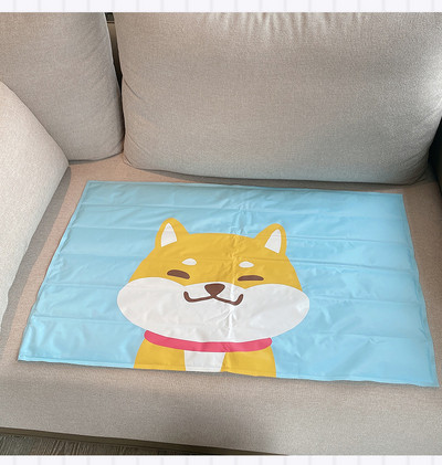 Aplikatsiooniga padi koertele